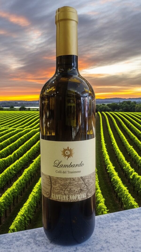 lambardo